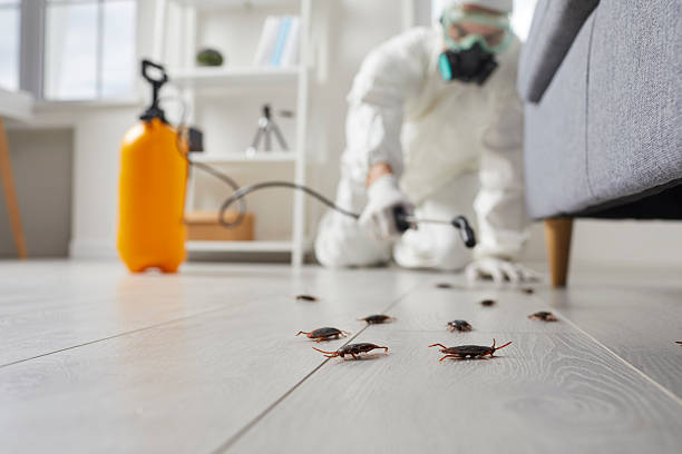 Commercial Kitchen Cockroach Control in Waxhaw